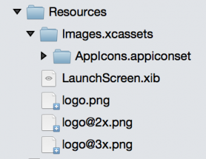 Typical iOS images resource structure
